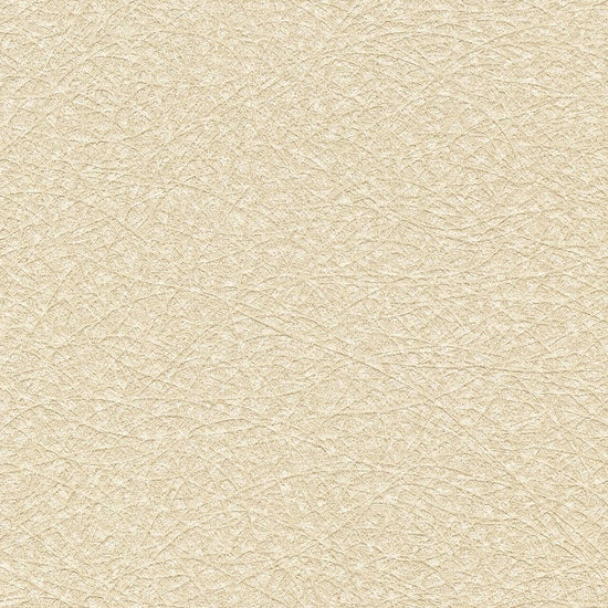 BB2638　俯瞰画像