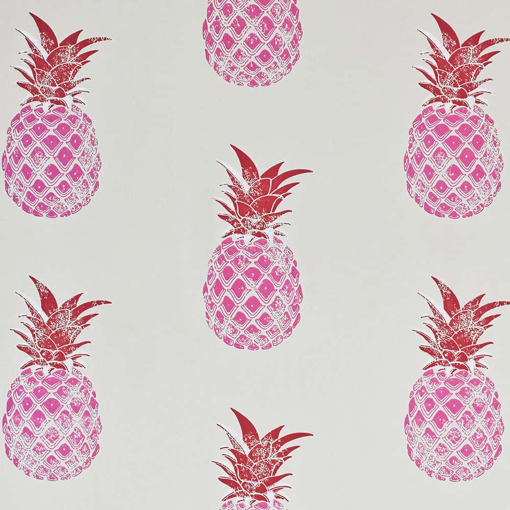 輸入壁紙 Barneby Gates(バーナビー・ゲイツ) / Pineapple Red/Pink BG1200201
