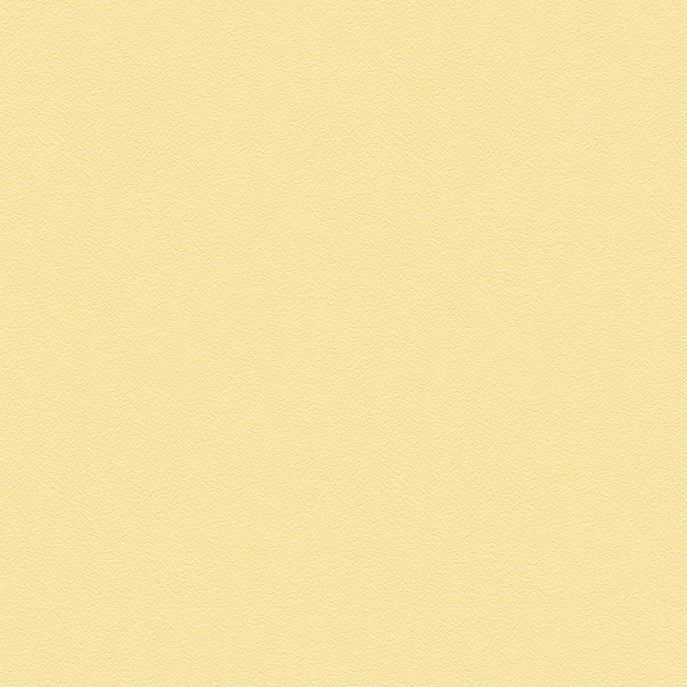 BL2917　俯瞰画像