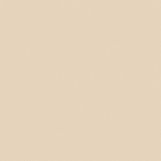 BL-2919 壁紙 のりなし クロス / シンコール / ベスト ベージュの無地【サンプル】