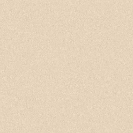 BL2919　俯瞰画像