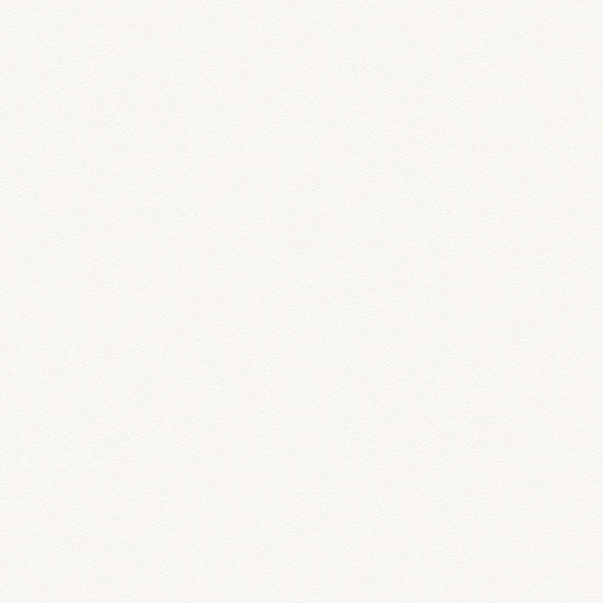 BL2920　俯瞰画像