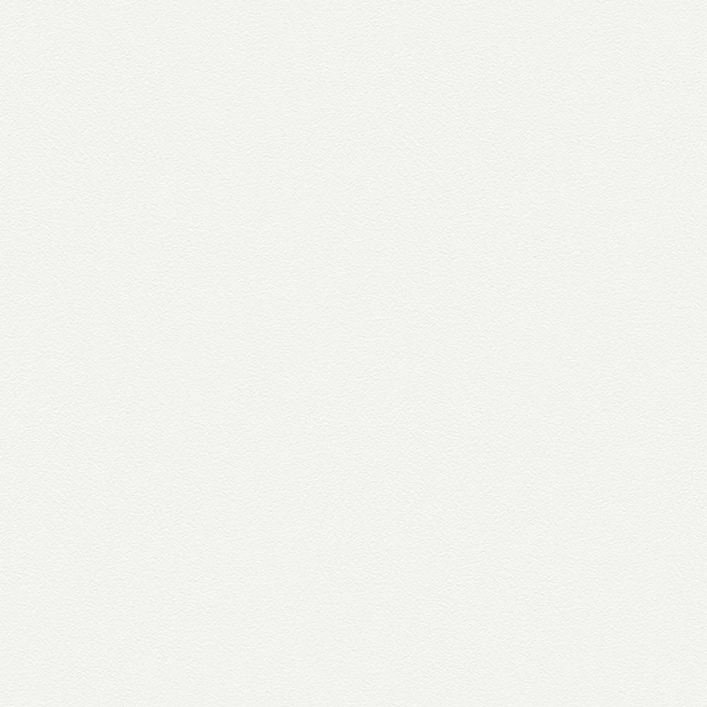 BL2921　俯瞰画像