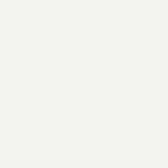 BL2921　俯瞰画像