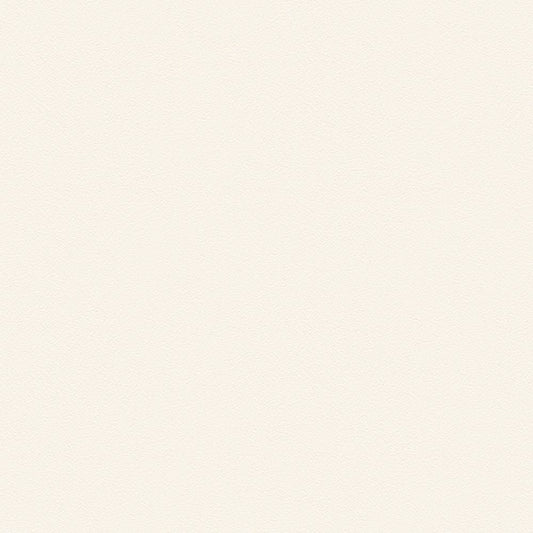 BL-2923 BA-7622 壁紙 のりなし クロス / シンコール / ベスト グレーの無地【サンプル】