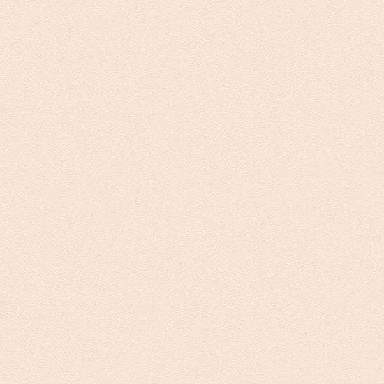 BL2924　俯瞰画像