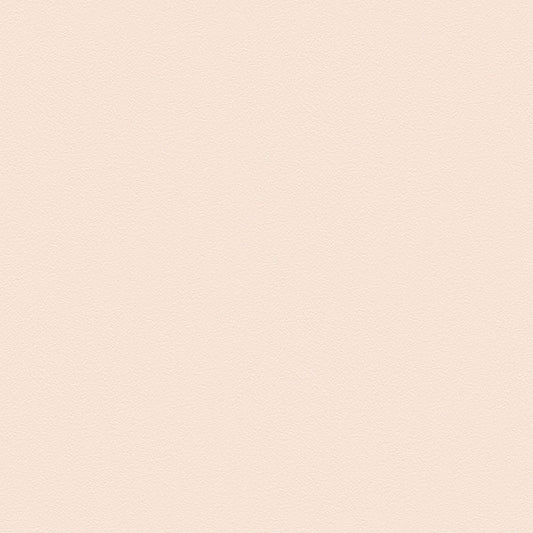 BL-2924 BA-7623 壁紙 のりなし クロス / シンコール / ベスト ベージュの無地【サンプル】