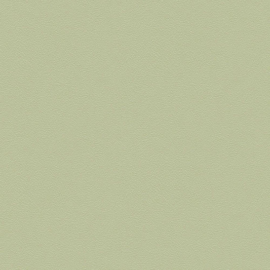 BL-2931 壁紙 のりなし クロス / シンコール / ベスト グリーンの無地【サンプル】