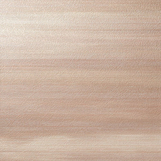 C25-2163　俯瞰画像