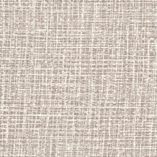 C25-2221 壁紙 のり付き クロス / ルノン / フレッシュ 消臭タイプ【30mパック】