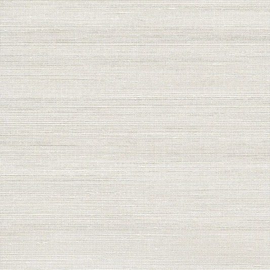 C25-2229 壁紙 のり付き クロス / ルノン / フレッシュ 消臭タイプ【10mパック】