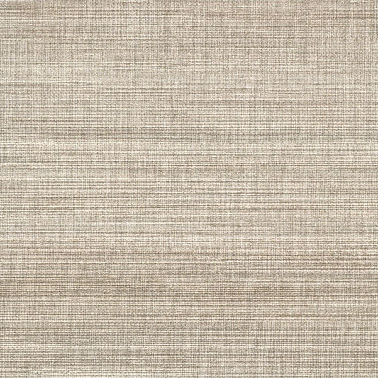 C25-2236 壁紙 のりなし クロス / ルノン / フレッシュ 消臭タイプ【サンプル】