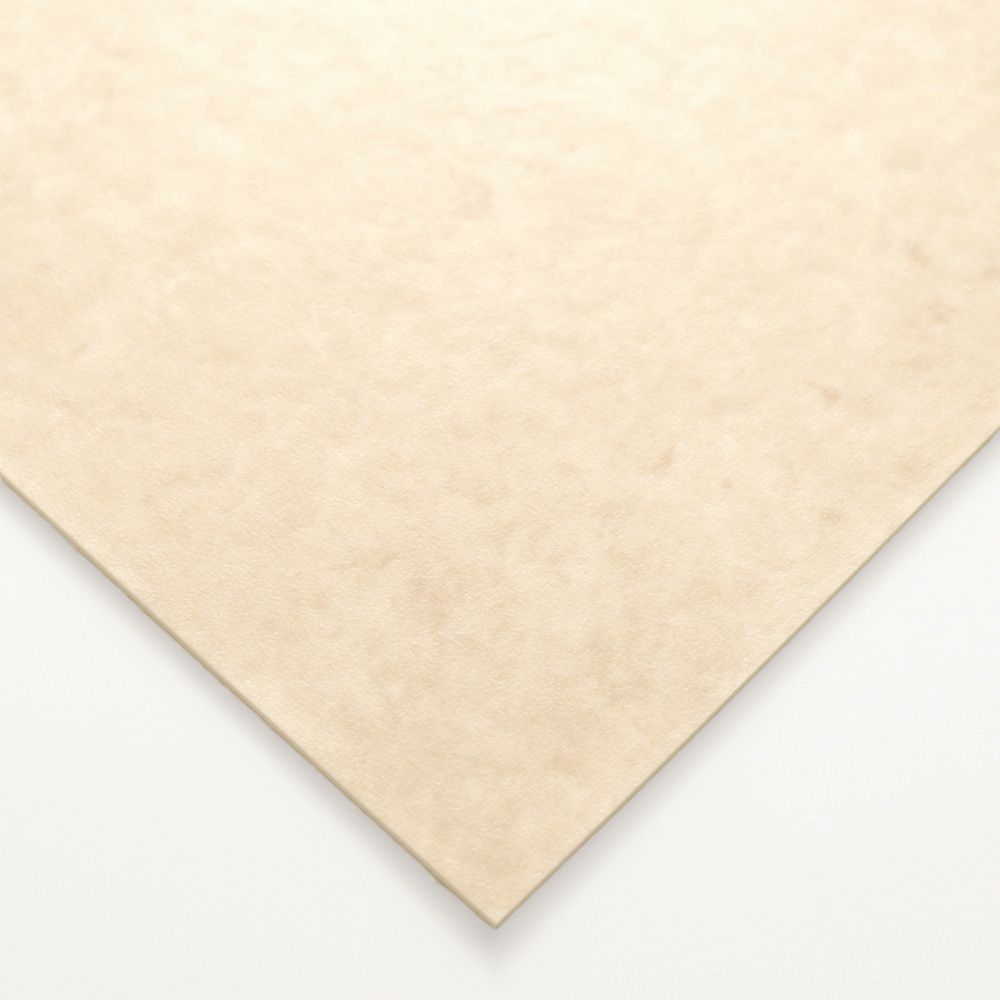 住宅用 クッションフロア【182cm×20m巻】 東リ / 大理石柄 CF-9658