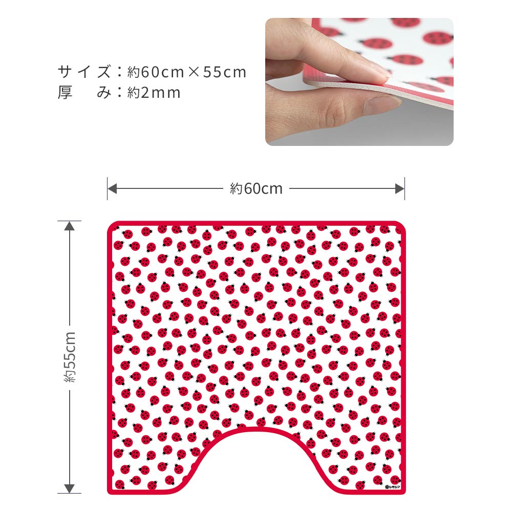 60cm×55cm