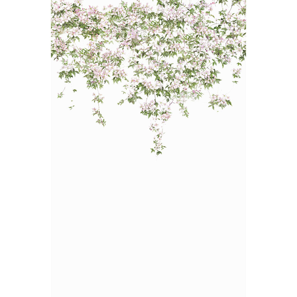 輸入壁紙 Sian Zeng / Clematis Mural Wallpaper / White ClemW 【3パネル1セット】