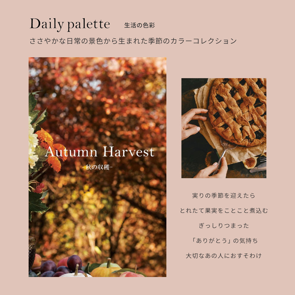 生のり付き【10mパック】国産壁紙 クロス / サンゲツ / ホワイト RE-55022