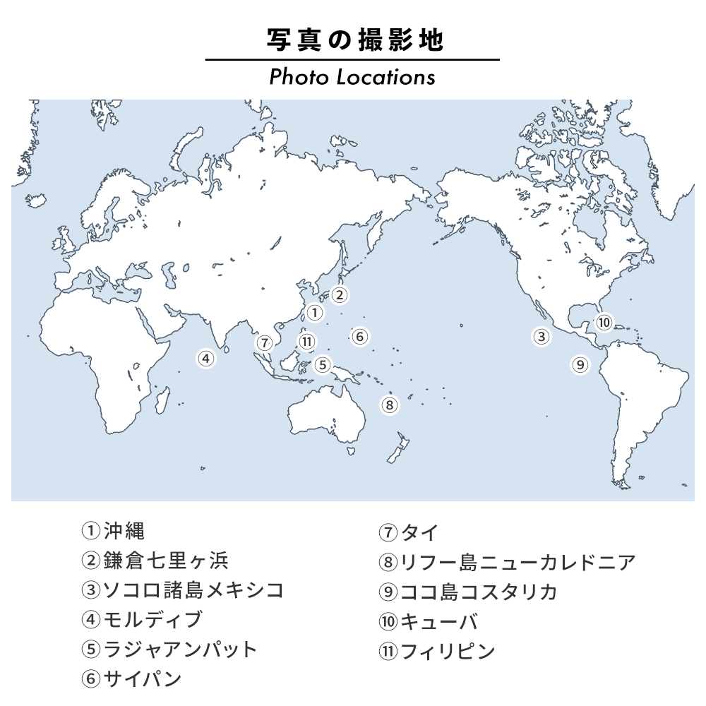 はがせるミューラル壁紙 のりなし 海の景色壁紙 鍵井靖章 ニセウメイロイの群泳（ラジャアンパット） NSO-K00015