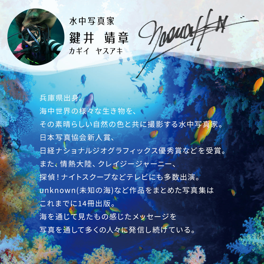 水中写真家 鍵井靖章さん