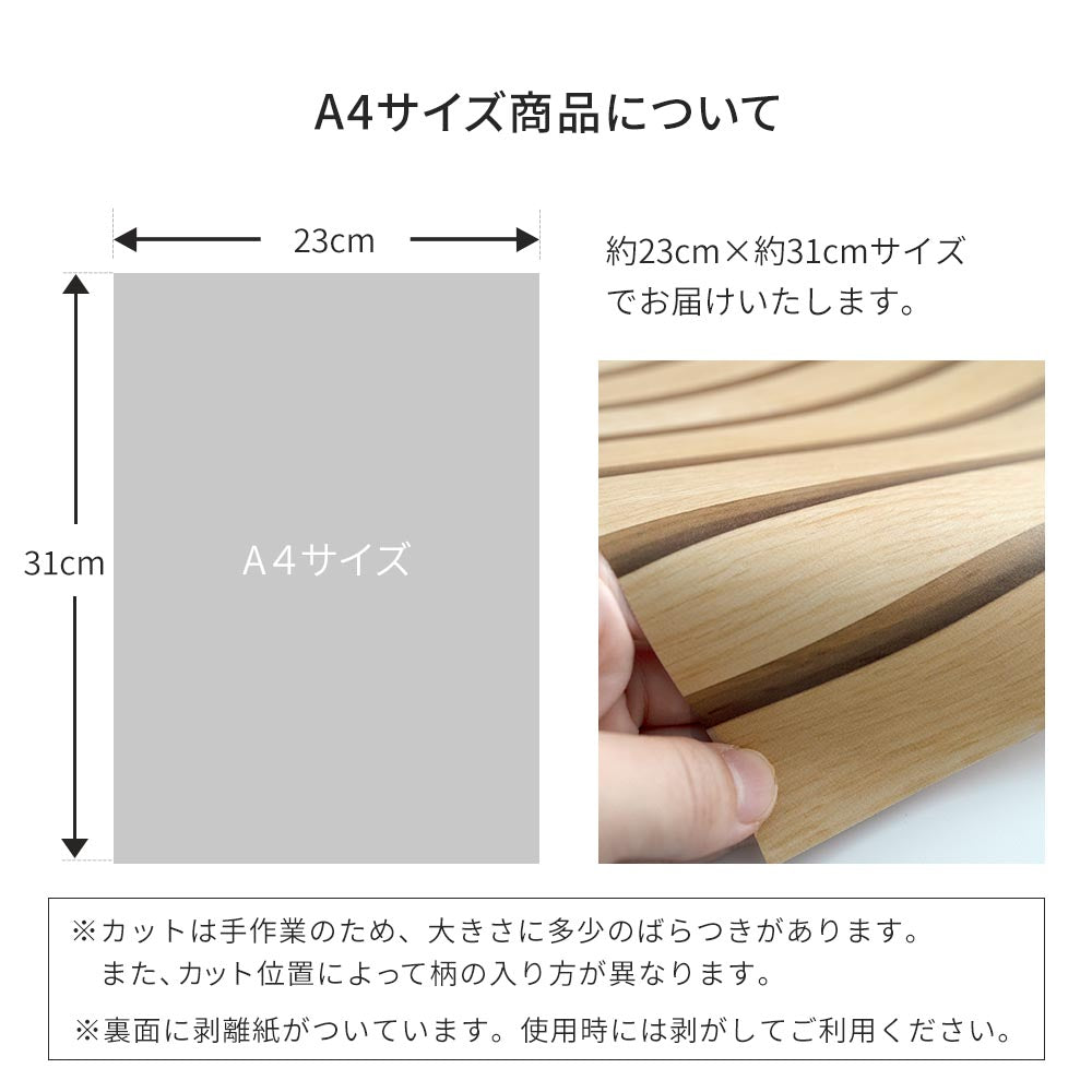 サイズについて