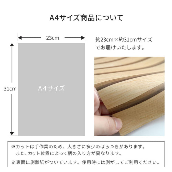 サイズについて