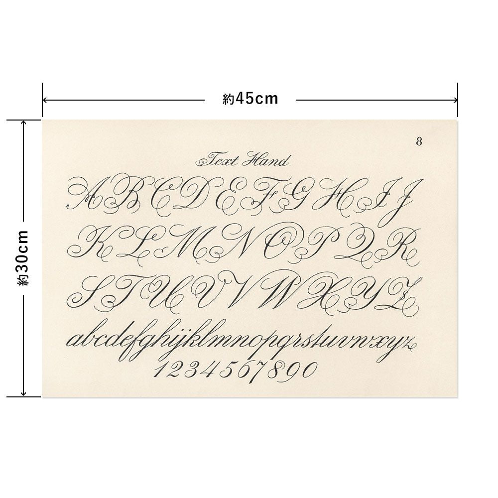 Hattan Art Poster ハッタンアートポスター Cursive fonts / HP-00002 Sサイズ(45cm×30cm)