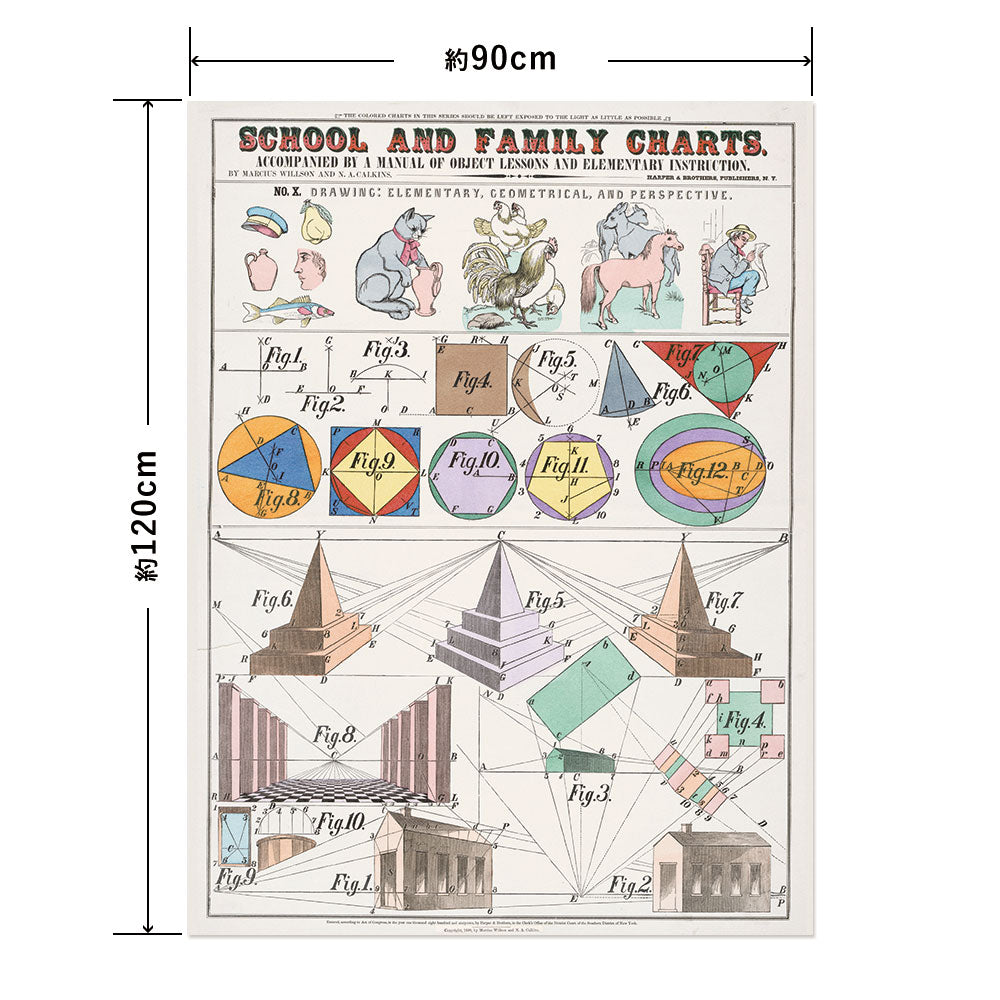 Hattan Art Poster ハッタンアートポスター School and family charts / HP-00196 LLサイズ(90cm×120cm)