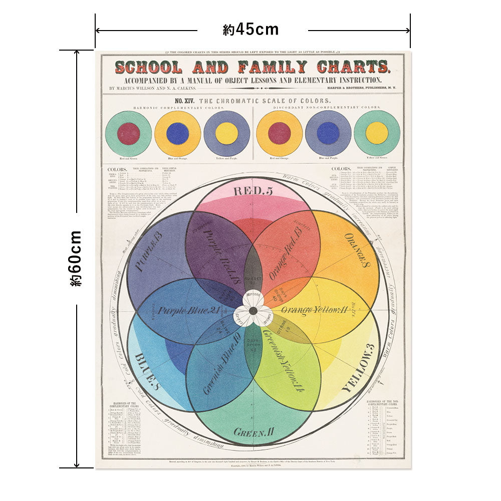 Hattan Art Poster ハッタンアートポスター School and family charts / HP-00198 Mサイズ(45cm×60cm)