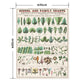 Hattan Art Poster ハッタンアートポスター School and family charts, Botanical / HP-00199 Mサイズ(45cm×60cm)