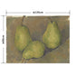 Hattan Art Poster ハッタンアートポスター Three Pears / HP-00213 LLサイズ(120cm×90cm)