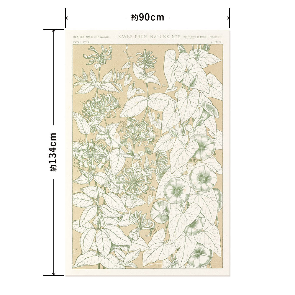 Hattan Art Poster ハッタンアートポスター Leaves from Nature No.9 / HP-00259 LLサイズ(90cm×134cm)