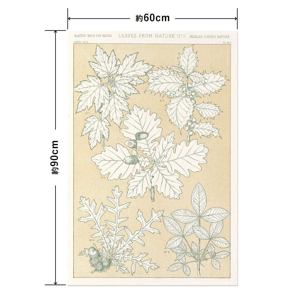 Hattan Art Poster ハッタンアートポスター Leaves from Nature No.5 / HP-00261 Lサイズ(60cm×90cm)