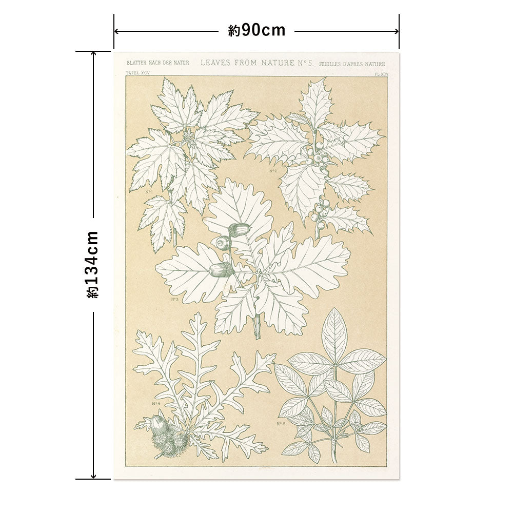 Hattan Art Poster ハッタンアートポスター Leaves from Nature No.5 / HP-00261 LLサイズ(90cm×134cm)