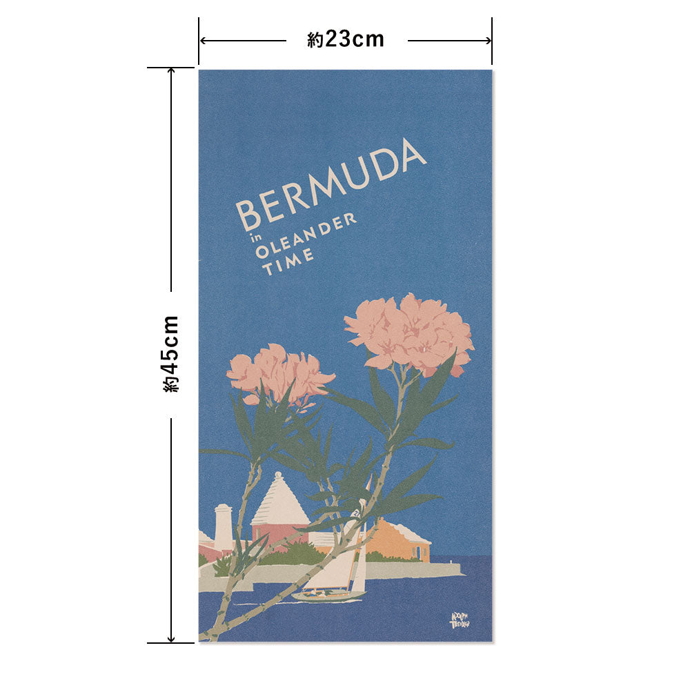 Hattan Art Poster ハッタンアートポスター Bermuda in oleander time / HP-00346 Sサイズ(23cm×45cm)