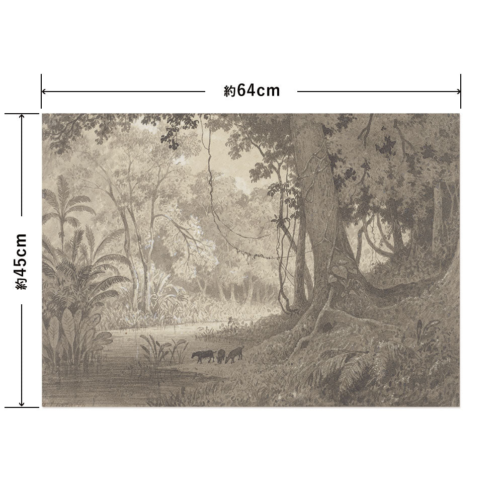 Hattan Art Poster ハッタンアートポスター Forest Scenery near Tamana / HP-00428 Mサイズ(64cm×45cm)