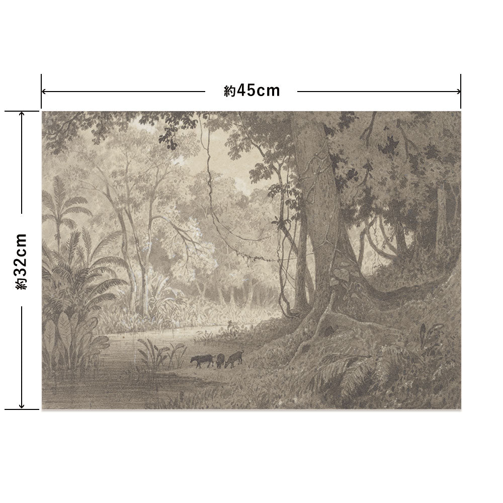 Hattan Art Poster ハッタンアートポスター Forest Scenery near Tamana / HP-00428 Sサイズ(45cm×32cm)