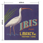 Hattan Art Poster ハッタンアートポスター Ibis Brand Fruit Label / HP-00477 LLサイズ(90cm×94cm)