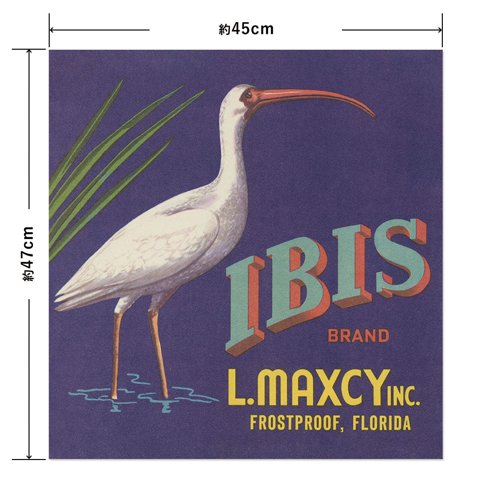 Hattan Art Poster ハッタンアートポスター Ibis Brand Fruit Label / HP-00477 Mサイズ(45cm×47cm)