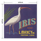 Hattan Art Poster ハッタンアートポスター Ibis Brand Fruit Label / HP-00477 Mサイズ(45cm×47cm)