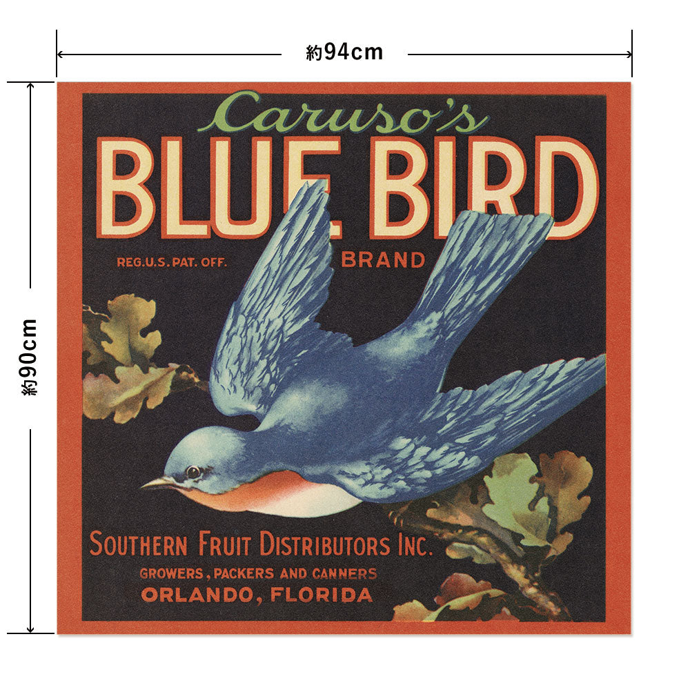 Hattan Art Poster ハッタンアートポスター Caruso’s Blue Bird Brand Fruit Label / HP-00478 LLサイズ(94cm×90cm)