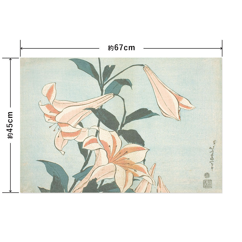 Hattan Art Poster ハッタンアートポスター 葛飾北斎 百合 / HP-00547 Mサイズ(67cm×45cm)