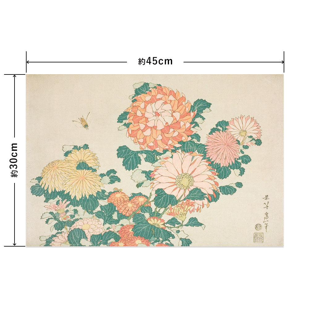 Hattan Art Poster ハッタンアートポスター 葛飾北斎 菊に虻 / HP-00548 Sサイズ(45cm×30cm)