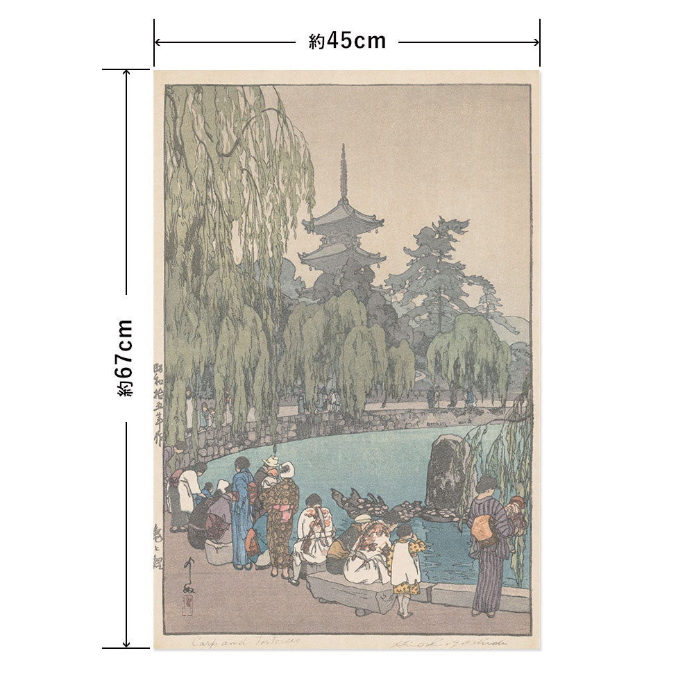 Hattan Art Poster ハッタンアートポスター 吉田博 亀と鯉 / HP-00554 Mサイズ(45cm×67cm)