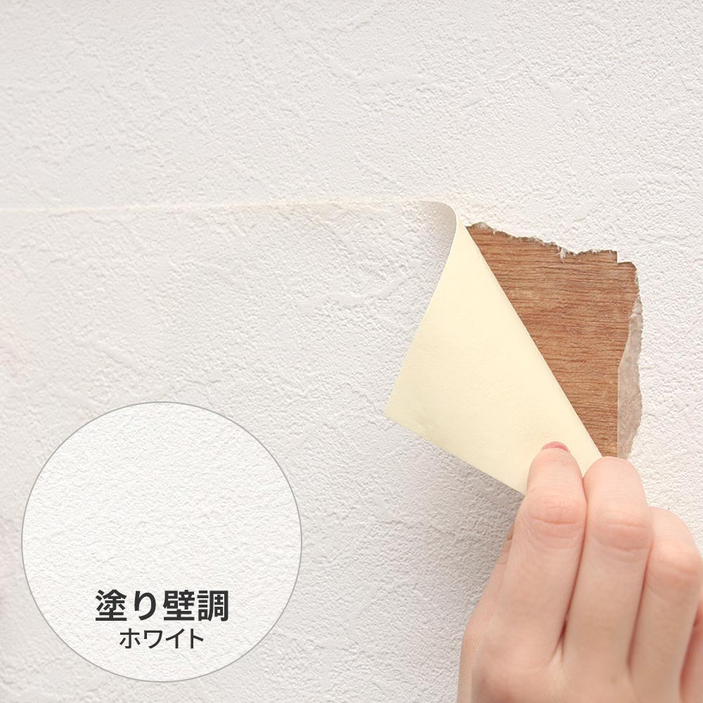 補修用 のり付き壁紙 A4サイズ / 白の塗り壁調 SP-2546