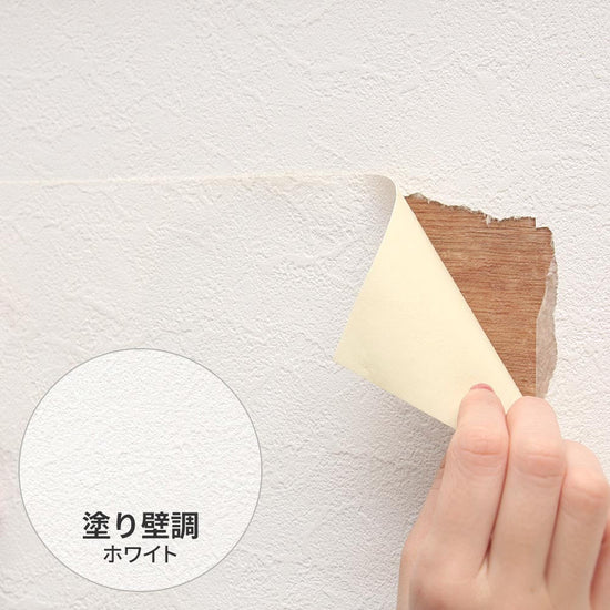 補修用 のり付き壁紙 A4サイズ / 白の塗り壁調 SP-2546