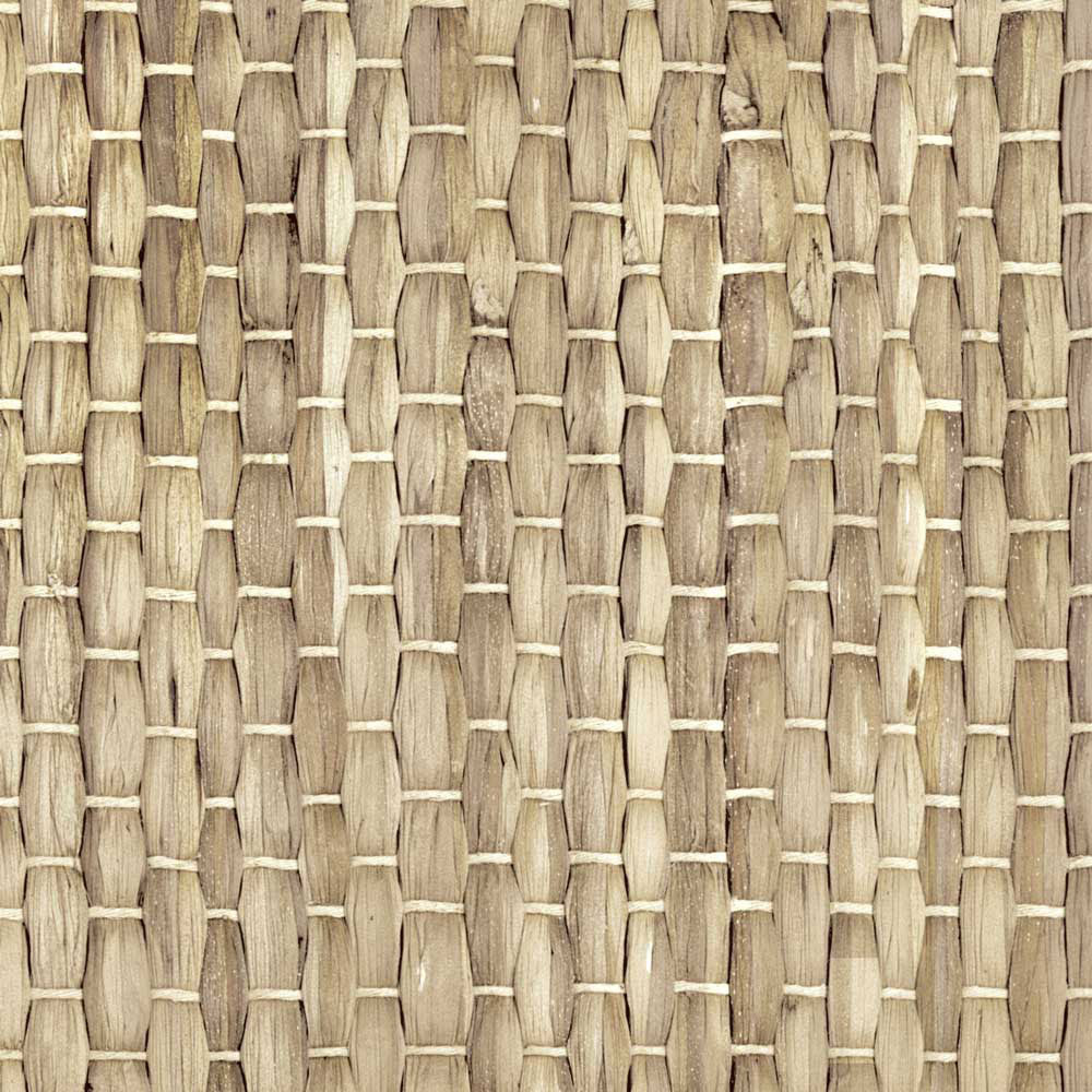 【5本セット】EASY WALL TAPE バウバウ EWT53 イージーウォールテープ（幅23cm×6m）