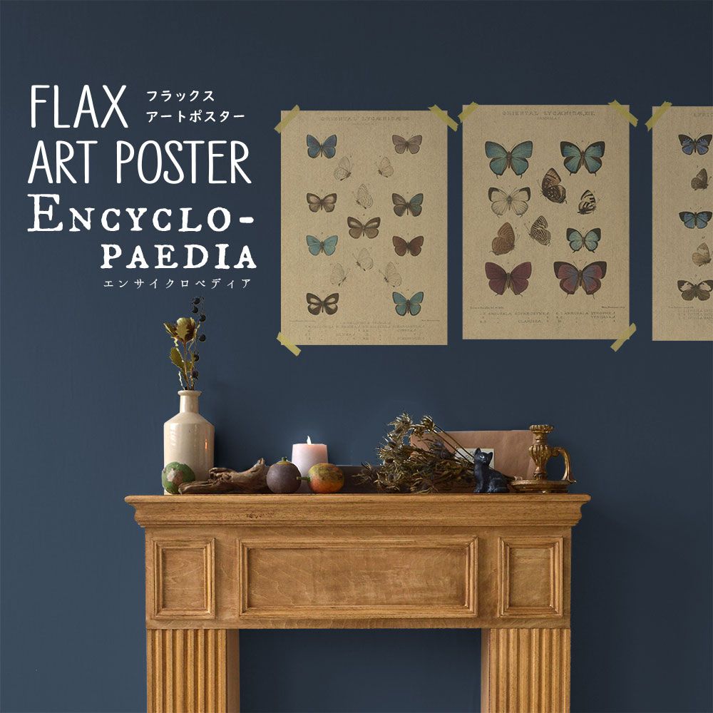 FLAX ART POSTER Encyclopaedia フラックス アートポスター エンサイクロペディア バタフライB FWP-AP-EN2B