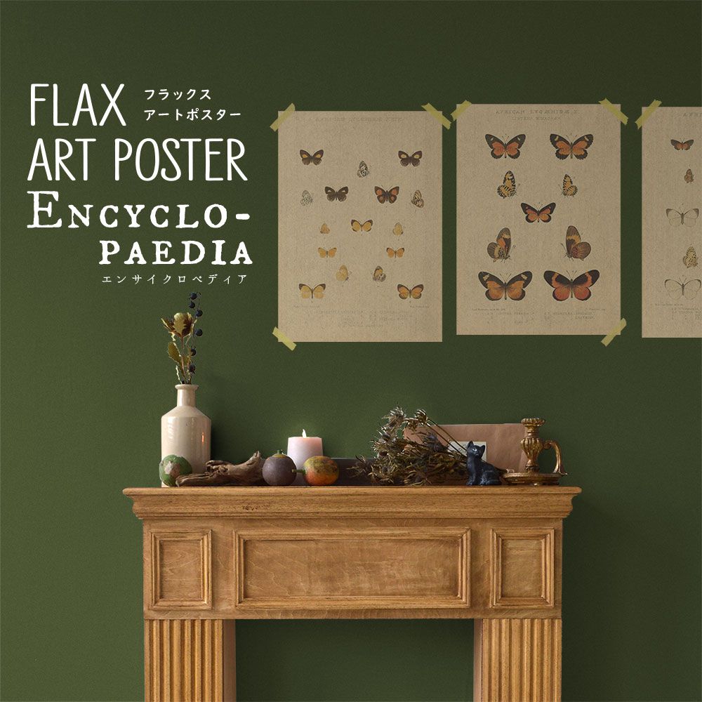 FLAX ART POSTER Encyclopaedia フラックス アートポスター エンサイクロペディア バタフライC FWP-AP-EN2C