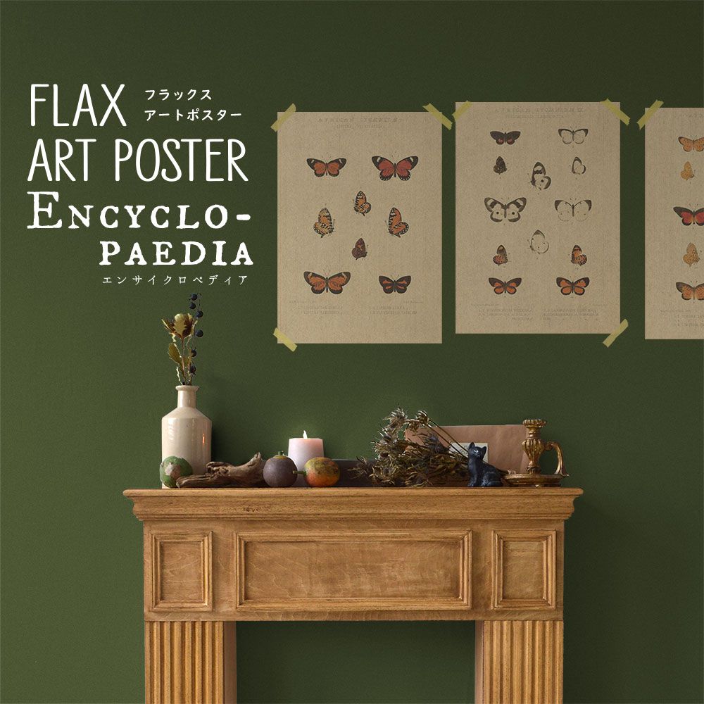 FLAX ART POSTER Encyclopaedia フラックス アートポスター エンサイクロペディア バタフライD FWP-AP-EN2D