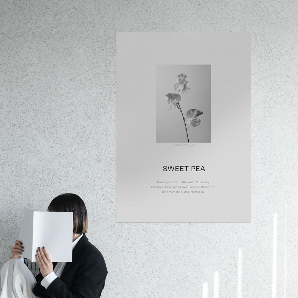 お風呂にも貼れる ポスターステッカー A1サイズ Room No.0 Birthday Art Poster Classy Flower 1月 スイートピー MRN-BCF01