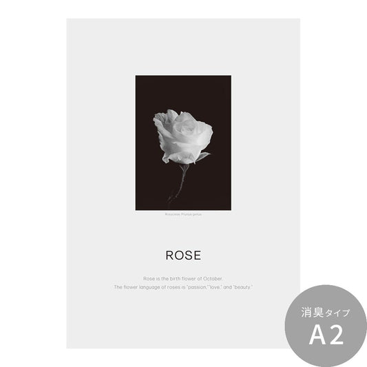 貼ってはがせる 消臭 アートポスター A2サイズ Room No.0 Birthday Art Poster Classy Flower 10月 ローズ SRN-BCF10